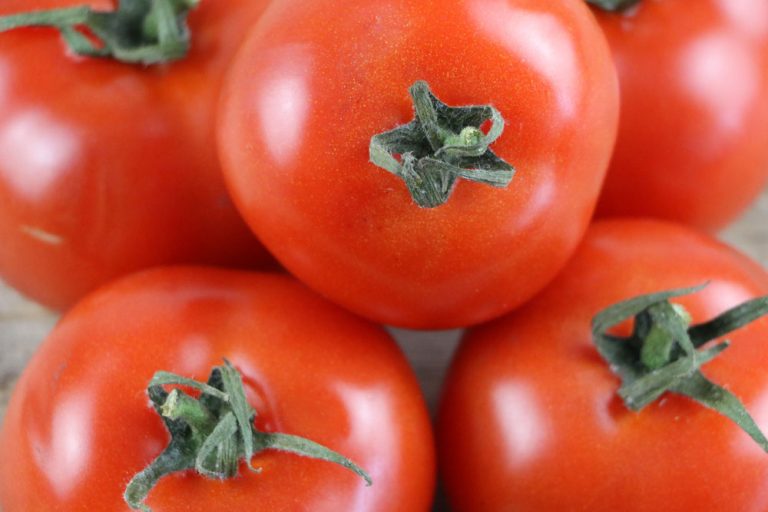 Alte Tomatensorten: Ein kulinarisches Erbe mit unverwechselbarem Geschmack